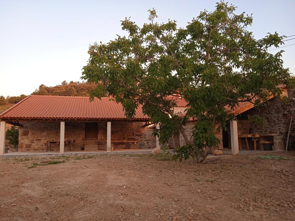 הוילה למאגו Quinta Do Passadico מראה חיצוני תמונה